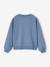 Sweat Lilo et Stitch bleu chambray - vertbaudet enfant 