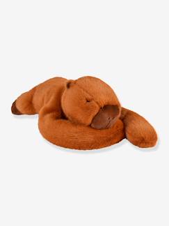 -Verzwaarde knuffel capibara HISTOIRE D'OURS
