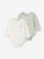 Lot de 2 bodies Winnie l Ourson vert d'eau - vertbaudet enfant 