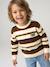 Pull garçon manches longues marine+noisette - vertbaudet enfant 