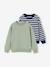 Lot de 2 sweats garçon col rond vert sauge - vertbaudet enfant 