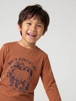 -T-shirt manches longues garçon