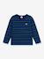 Gestreept kinder-T-shirt PETIT BATEAU blauw - vertbaudet enfant 