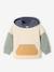 Sweat à capuche bébé personnalisable vert sauge - vertbaudet enfant 