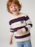 Pull garçon manches longues marine+noisette - vertbaudet enfant 