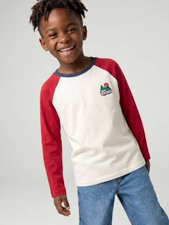 -T-shirt manches longues garçon