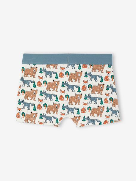 Set van 5 jongensboxers beige - vertbaudet enfant 