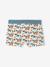 Set van 5 jongensboxers beige - vertbaudet enfant 