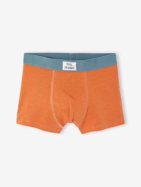 Lot de 5 boxers garçon beige - vertbaudet enfant 