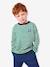 Gestreept PB-T-shirt marineblauw - vertbaudet enfant 