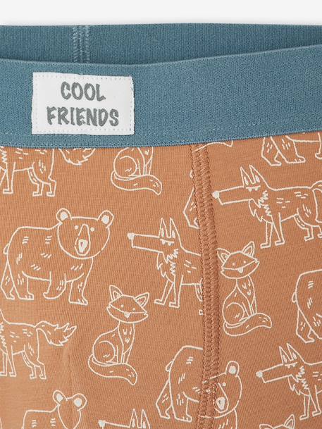 Lot de 5 boxers garçon beige - vertbaudet enfant 