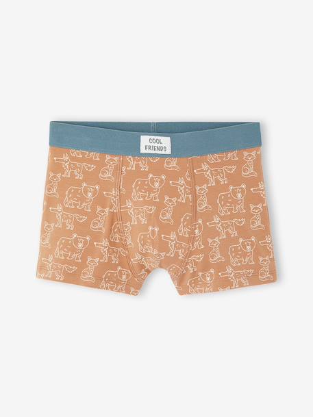 Lot de 5 boxers garçon beige - vertbaudet enfant 