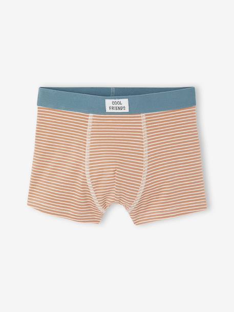 Set van 5 jongensboxers beige - vertbaudet enfant 