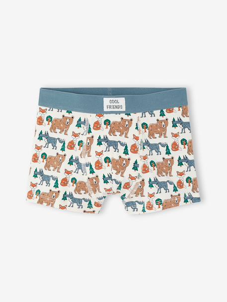 Lot de 5 boxers garçon beige - vertbaudet enfant 