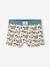 Set van 5 jongensboxers beige - vertbaudet enfant 