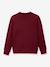 Sweat col rond bordeaux - vertbaudet enfant 