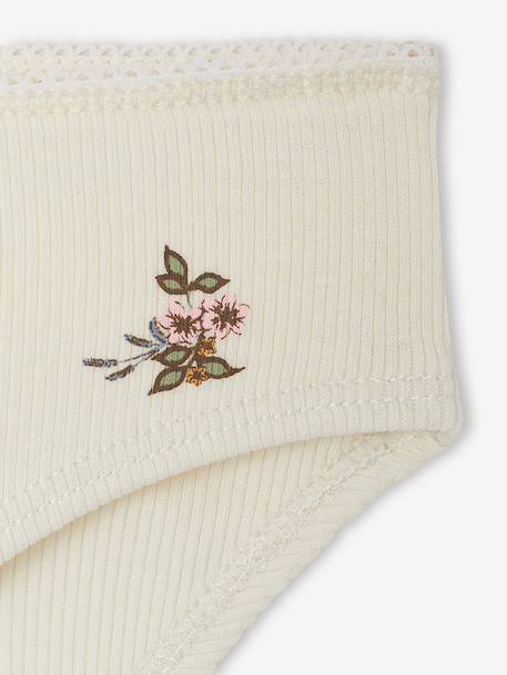 Lot de 5 culottes fille beige - vertbaudet enfant 