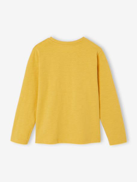 Personaliseerbare gekleurd T-shirt voor jongens met lange mouwen antraciet+BLAUW+dennen+geel+groengrijs+lichtgeel+rood - vertbaudet enfant 
