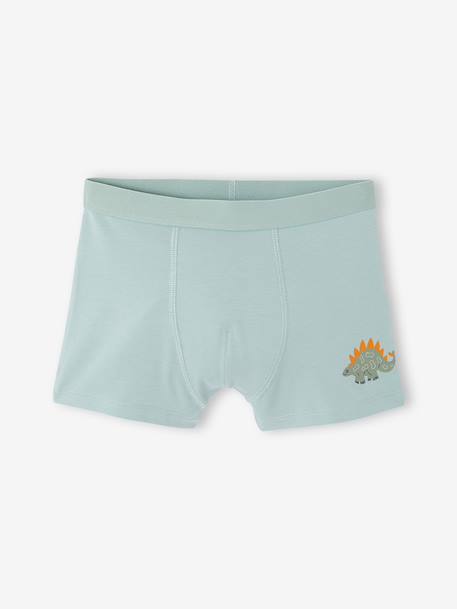 Lot de 5 boxers garçon vert d'eau - vertbaudet enfant 