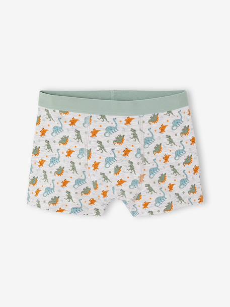 Set van 5 jongensboxers blauwgroen - vertbaudet enfant 