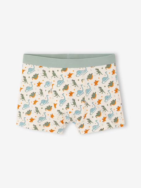 Lot de 5 boxers garçon vert d'eau - vertbaudet enfant 