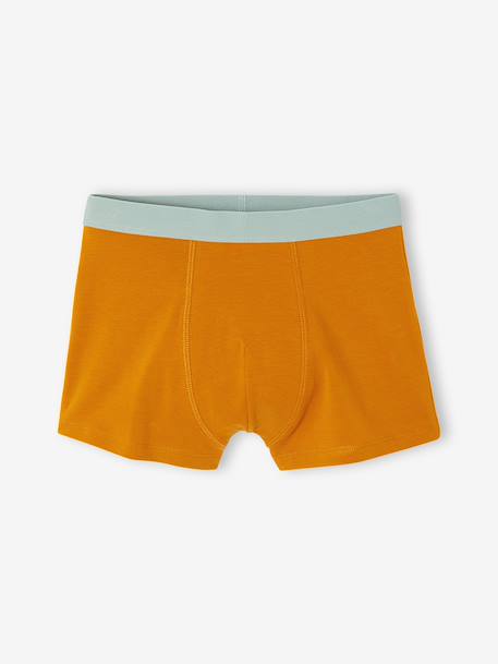 Lot de 5 boxers garçon vert d'eau - vertbaudet enfant 