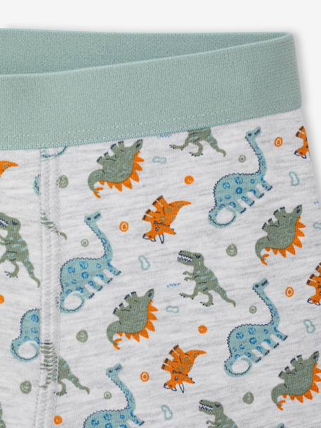 Set van 5 jongensboxers blauwgroen - vertbaudet enfant 