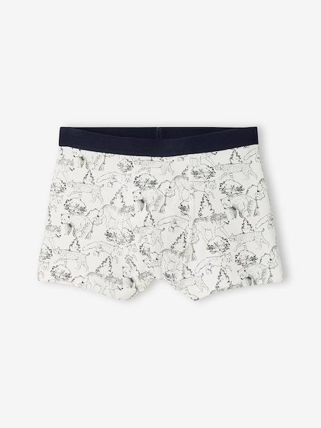 Set van 5 jongensboxers kaki - vertbaudet enfant 