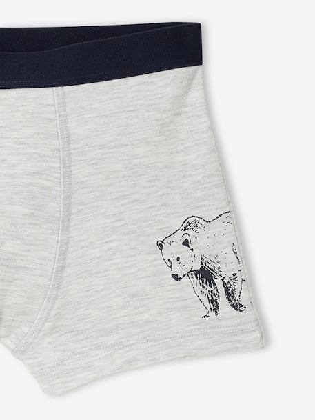 Set van 5 jongensboxers kaki - vertbaudet enfant 