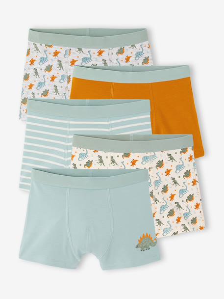 Lot de 5 boxers garçon vert d'eau - vertbaudet enfant 