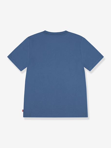 Batwing Chest T-shirt blauw - vertbaudet enfant 