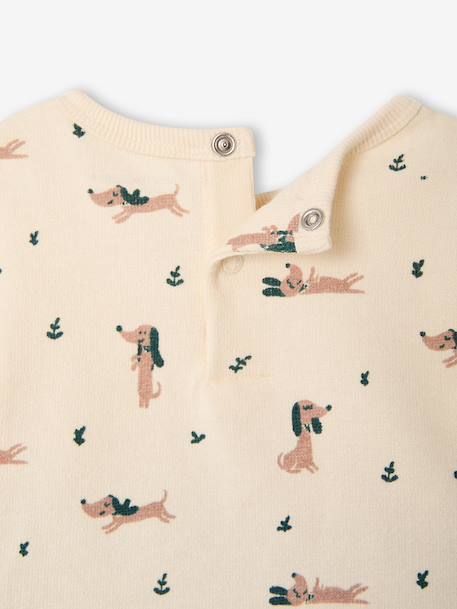 Ensemble T-shirt et pantalon bébé garçon caramel+vert - vertbaudet enfant 