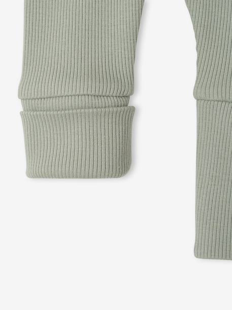 Lange legging voor baby's BASICS beige+donkerbruin+lichtroze+marineblauw+ROSE CLAIR UNI+saliegroen - vertbaudet enfant 