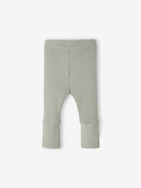 Lange legging voor baby's BASICS beige+donkerbruin+lichtroze+marineblauw+ROSE CLAIR UNI+saliegroen - vertbaudet enfant 