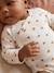 Lot de 5 bodies naissance fille manches longues écru - vertbaudet enfant 