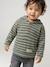 Gestreept T-shirt met capuchon jongensbaby groen+ijsblauw+terracottategel+zandbeige - vertbaudet enfant 