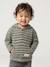 Gestreept T-shirt met capuchon jongensbaby groen+ijsblauw+terracottategel+zandbeige - vertbaudet enfant 