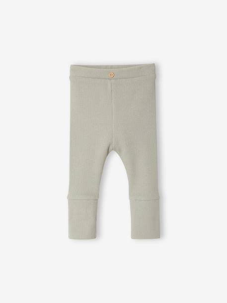 Lange legging voor baby's BASICS beige+donkerbruin+lichtroze+marineblauw+ROSE CLAIR UNI+saliegroen - vertbaudet enfant 