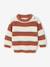 Gestreepte babytrui met lange mouwen marineblauw+terracotta - vertbaudet enfant 