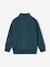 Sweater met ritskraag jongen geel+groenblauw - vertbaudet enfant 