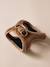 Set promenade pour chien : harnais + laisse + collier café+chocolat - vertbaudet enfant 
