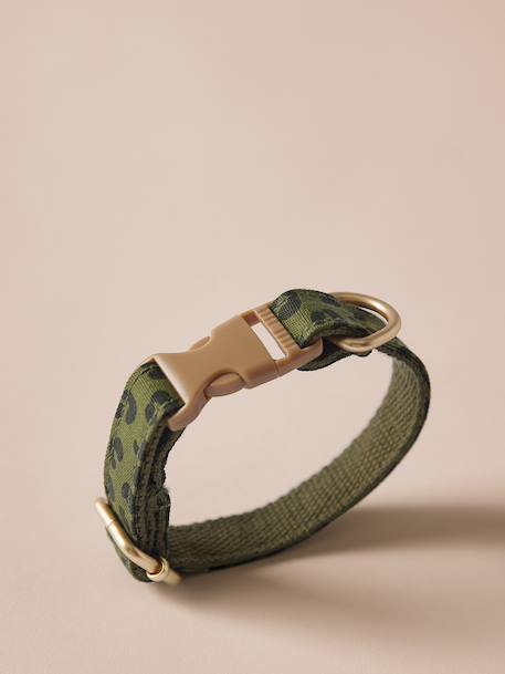 Set promenade pour chien kaki - vertbaudet enfant 