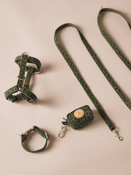 Set promenade pour chien kaki - vertbaudet enfant 