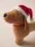 Kerstteckel hondenspeeltje chocoladebruin - vertbaudet enfant 