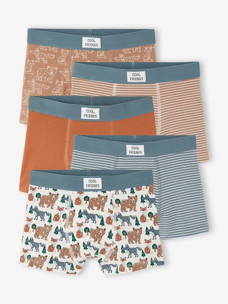 Garçon-Lot de 5 boxers garçon