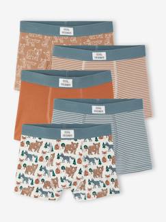 -Set van 5 jongensboxers