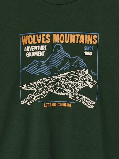 T-shirt manches longues garçon marine+vert - vertbaudet enfant 