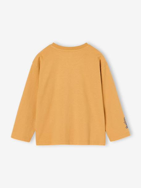 T-shirt manches longues garçon anthracite+jaune+pistache - vertbaudet enfant 