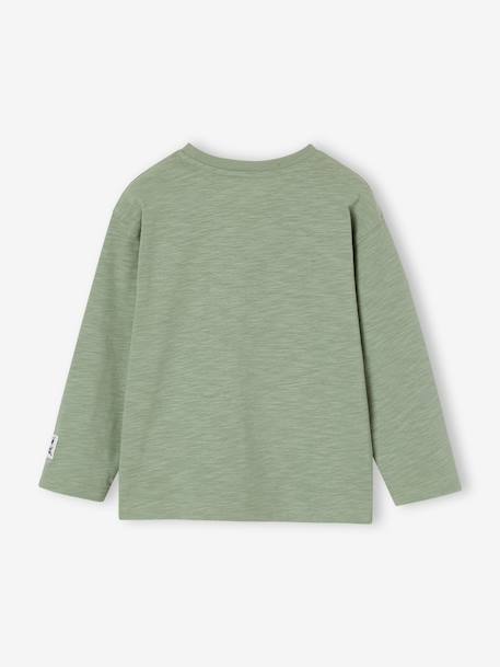 T-shirt met lange mouwen met print voor jongens rozenhout+saliegroen - vertbaudet enfant 