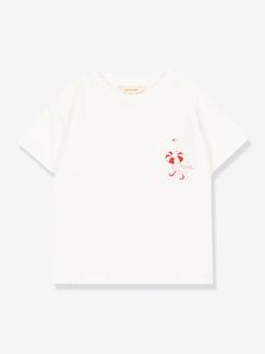 Garçon-T-shirt, polo, sous-pull-T-shirt-T-shirt Era manches courtes